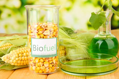 Downicary biofuel availability